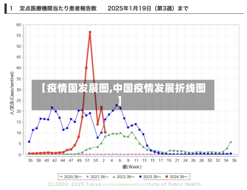 【疫情国发展图,中国疫情发展折线图】-第2张图片