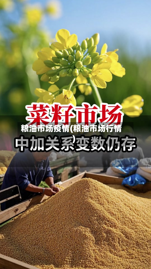 粮油市场疫情(粮油市场行情)-第2张图片