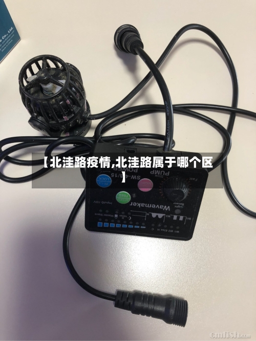 【北洼路疫情,北洼路属于哪个区】-第2张图片