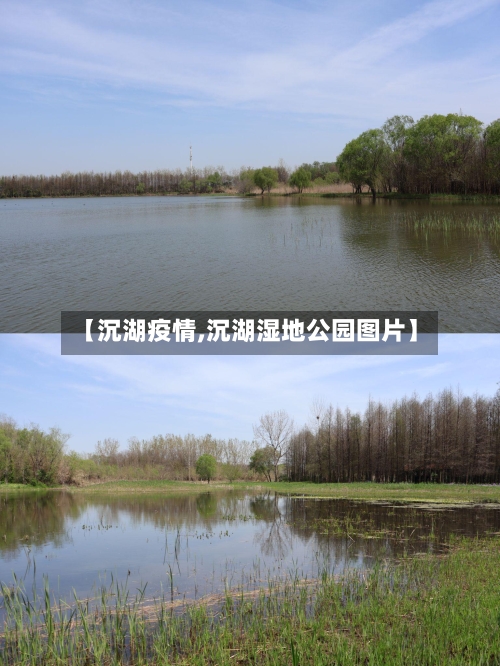 【沉湖疫情,沉湖湿地公园图片】-第2张图片