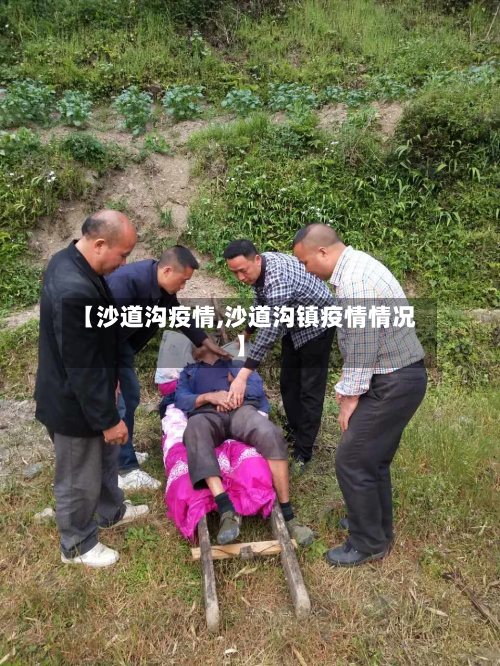 【沙道沟疫情,沙道沟镇疫情情况】-第2张图片