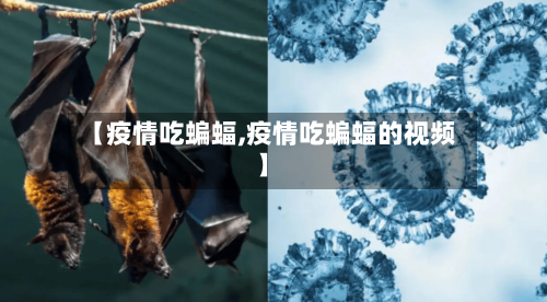 【疫情吃蝙蝠,疫情吃蝙蝠的视频】