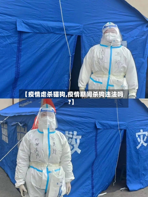 【疫情虐杀猫狗,疫情期间杀狗违法吗?】-第3张图片