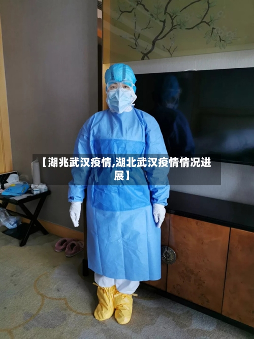 【湖兆武汉疫情,湖北武汉疫情情况进展】