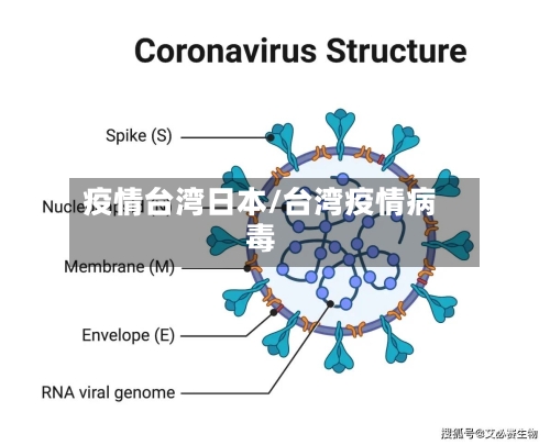 疫情台湾日本/台湾疫情病毒-第2张图片