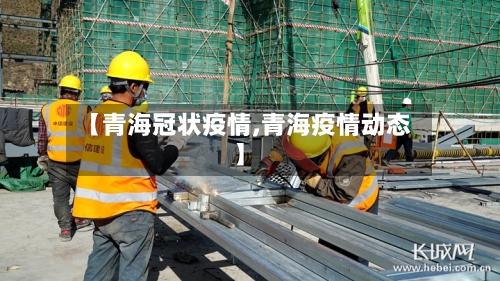 【青海冠状疫情,青海疫情动态】-第2张图片