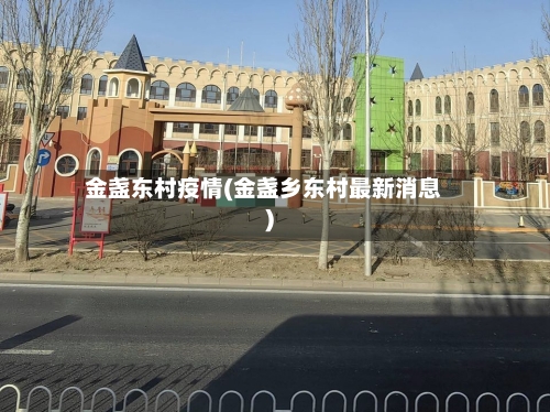 金盏东村疫情(金盏乡东村最新消息)-第2张图片