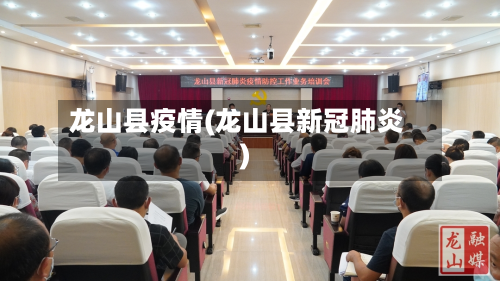 龙山县疫情(龙山县新冠肺炎)-第2张图片