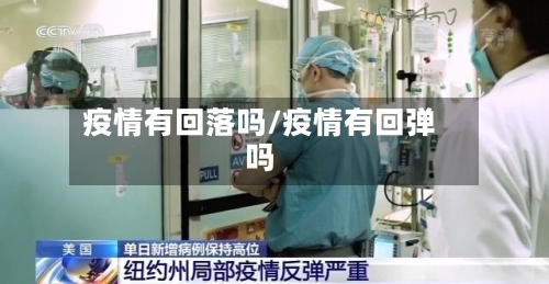 疫情有回落吗/疫情有回弹吗-第3张图片