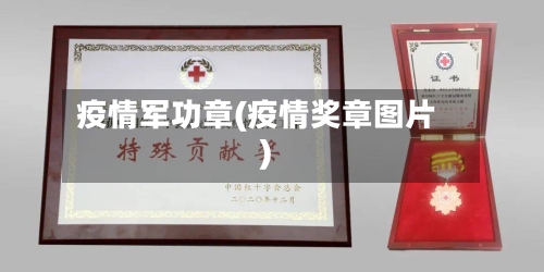 疫情军功章(疫情奖章图片)