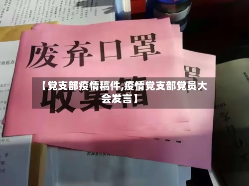 【党支部疫情稿件,疫情党支部党员大会发言】