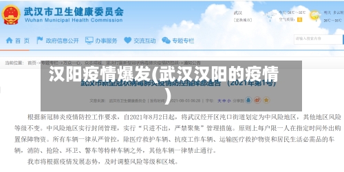 汉阳疫情爆发(武汉汉阳的疫情)-第2张图片