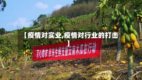 【疫情对实业,疫情对行业的打击】