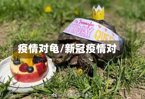 疫情对龟/新冠疫情对-第2张图片