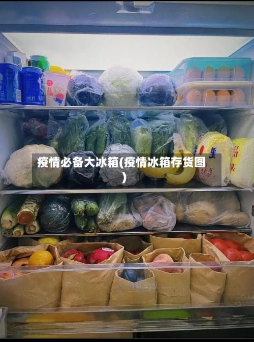疫情必备大冰箱(疫情冰箱存货图)
