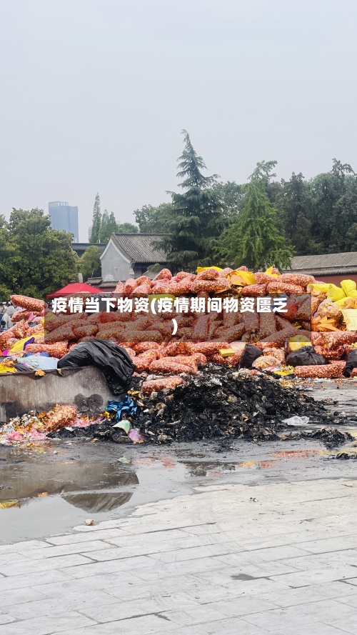 疫情当下物资(疫情期间物资匮乏)-第2张图片