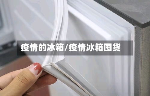 疫情的冰箱/疫情冰箱囤货-第3张图片