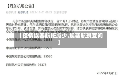 【疫情埃塞航班减少,埃塞航班查询】