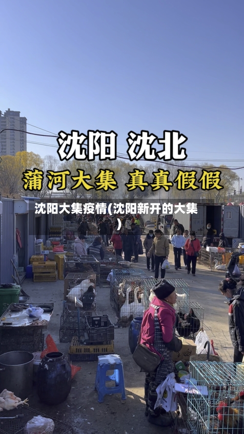 沈阳大集疫情(沈阳新开的大集)-第3张图片