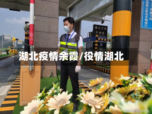 湖北疫情余霞/役情湖北