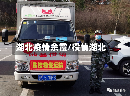 湖北疫情余霞/役情湖北-第2张图片