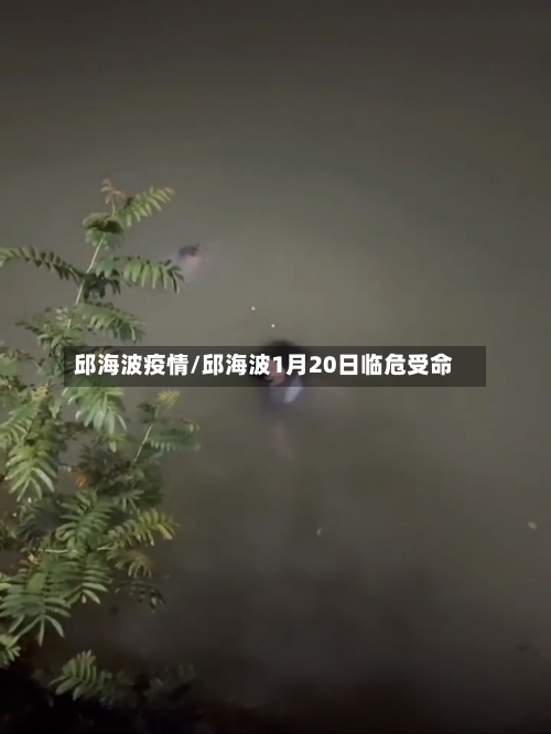 邱海波疫情/邱海波1月20日临危受命