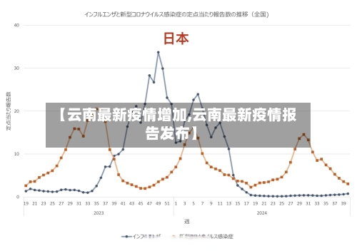 【云南最新疫情增加,云南最新疫情报告发布】-第3张图片