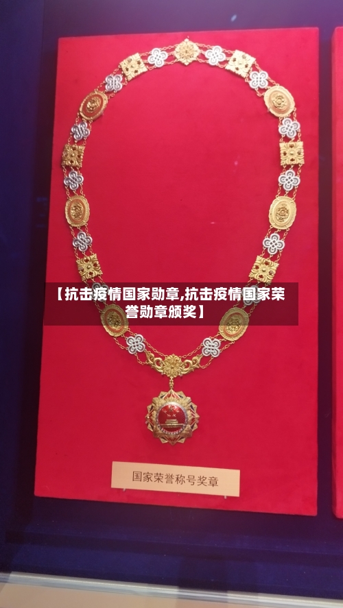 【抗击疫情国家勋章,抗击疫情国家荣誉勋章颁奖】-第2张图片