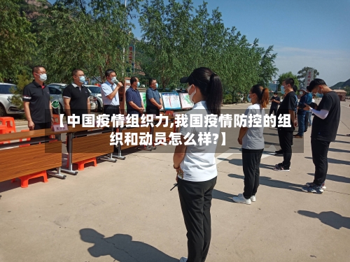 【中国疫情组织力,我国疫情防控的组织和动员怎么样?】-第2张图片