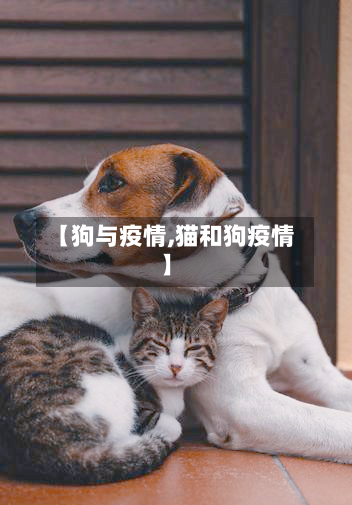 【狗与疫情,猫和狗疫情】-第3张图片