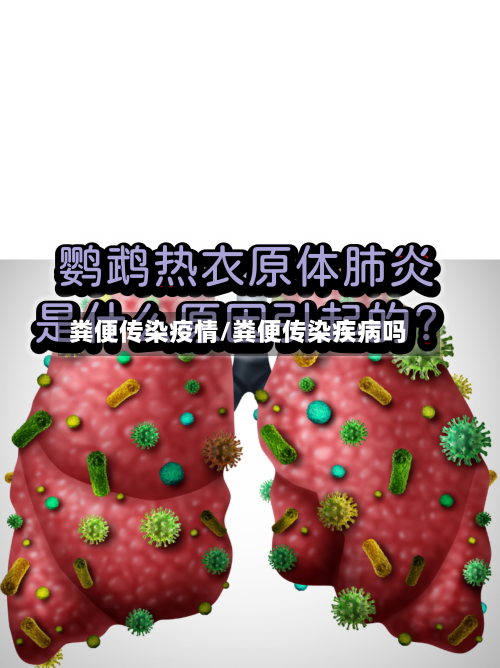 粪便传染疫情/粪便传染疾病吗