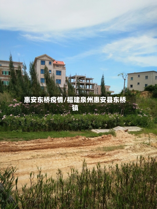 惠安东桥疫情/福建泉州惠安县东桥镇