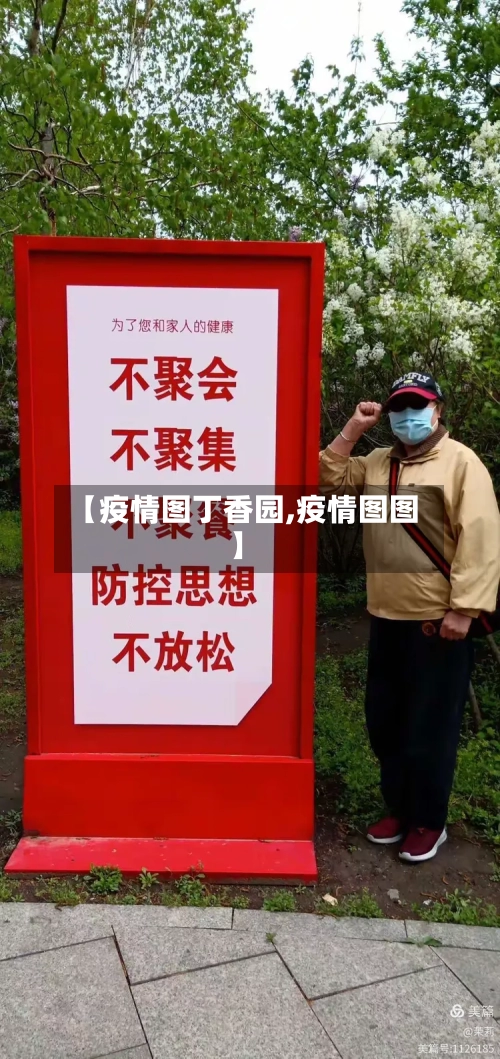 【疫情图丁香园,疫情图图】-第2张图片