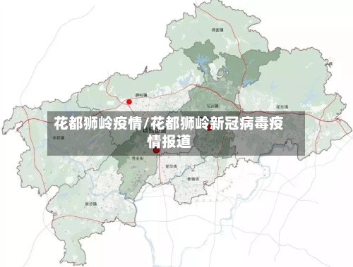 花都狮岭疫情/花都狮岭新冠病毒疫情报道-第2张图片