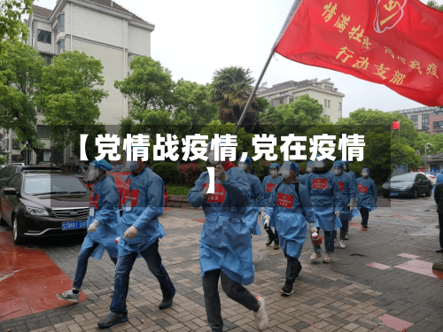 【党情战疫情,党在疫情】-第3张图片