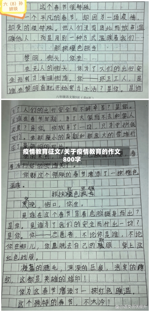 疫情教育征文/关于疫情教育的作文800字