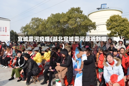 宜城雷河疫情(湖北宜城雷河最近新闻)