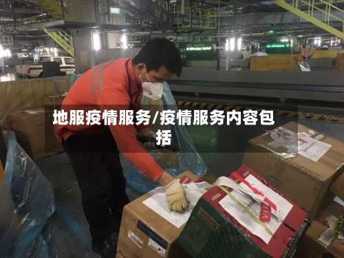 地服疫情服务/疫情服务内容包括
