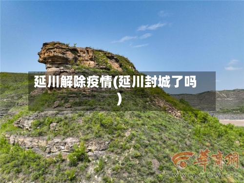 延川解除疫情(延川封城了吗)