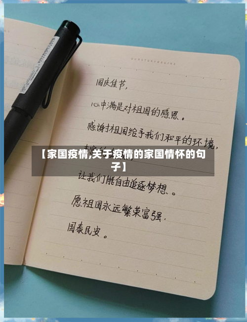 【家国疫情,关于疫情的家国情怀的句子】-第2张图片
