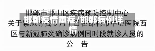 邯郸疫情重症/邯郸病例详情-第2张图片