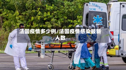 法国疫情多少例/法国疫情感染最新人数