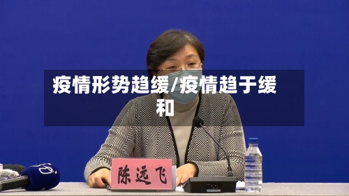 疫情形势趋缓/疫情趋于缓和-第2张图片
