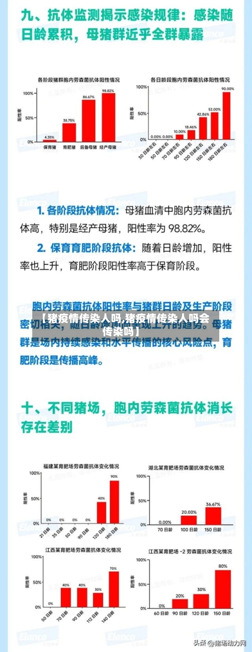 【猪疫情传染人吗,猪疫情传染人吗会传染吗】-第2张图片