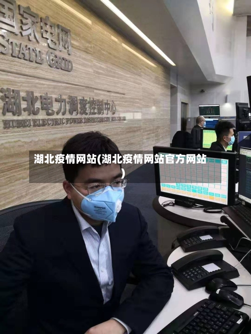 湖北疫情网站(湖北疫情网站官方网站)-第3张图片