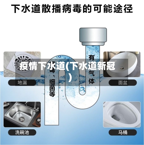 疫情下水道(下水道新冠)