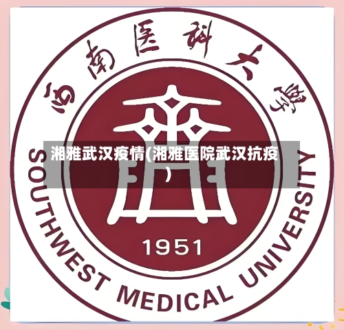 湘雅武汉疫情(湘雅医院武汉抗疫)