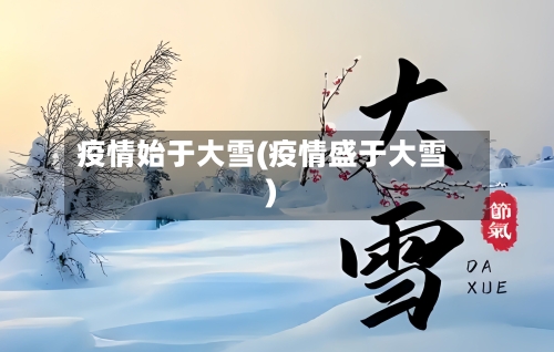 疫情始于大雪(疫情盛于大雪)-第2张图片