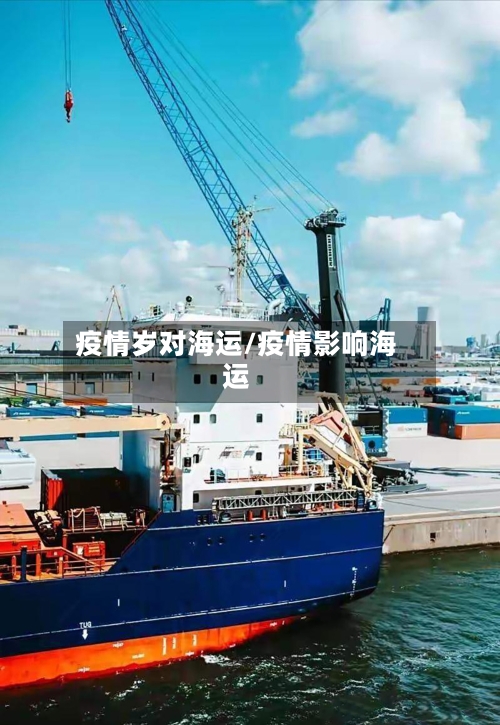 疫情岁对海运/疫情影响海运