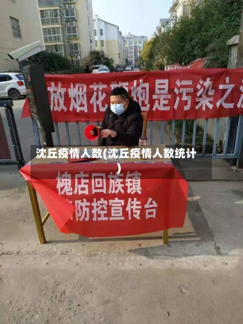 沈丘疫情人数(沈丘疫情人数统计)-第2张图片